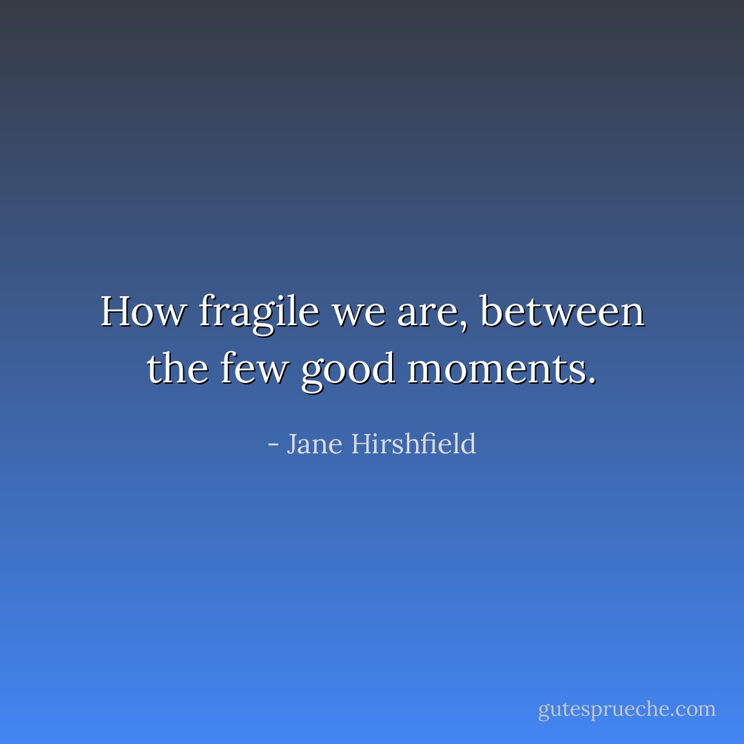How fragile we are, between the few good moments. - Jane Hirshfield