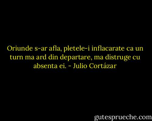 Oriunde s-ar afla, pletele-i inflacarate ca un turn ma ard din departare, ma distruge cu absenta ei. - Julio Cortázar