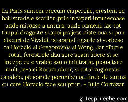 La Paris suntem precum ciupercile, crestem pe balustradele scarilor, prin incaperi intunecoase unde miroase a untura, unde oamenii fac tot timpul dragoste si apoi prajesc niste oua si pun discuri de Vivaldi, isi aprind tigarile si vorbesc ca Horacio si Gregorovios si Wong...iar afara e totul, ferestrele dau spre spatii libere si se incepe cu o vrabie sau o infiltratie, ploua tare mult pe-aici,Rocamadour, si totul rugineste, canalele, picioarele porumbeilor, firele de sarma cu care Horacio face sculpturi. - Julio Cortázar