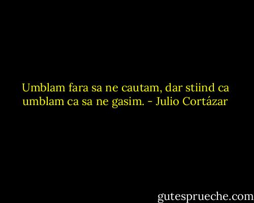 Umblam fara sa ne cautam, dar stiind ca umblam ca sa ne gasim. - Julio Cortázar