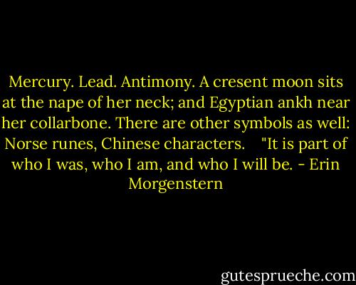 Mercury. Lead. Antimony. A cresent moon sits at the nape of her neck; and Egyptian ankh near her collarbone. There are other symbols as well: Norse runes, Chinese characters. <br /> <br />"It is part of who I was, who I am, and who I will be. - Erin Morgenstern