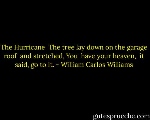 The Hurricane<br /><br />The tree lay down<br />on the garage roof <br />and stretched, You <br />have your heaven, <br />it said, go to it. - William Carlos Williams