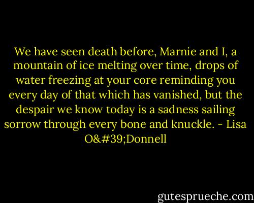 We have seen death before, Marnie and I, a mountain of ice melting over time, drops of water freezing at your core reminding you every day of that which has vanished, but the despair we know today is a sadness sailing sorrow through every bone and knuckle. - Lisa O'Donnell