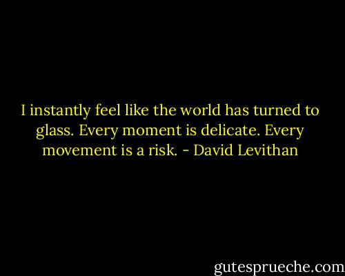 I instantly feel like the world has turned to glass. Every moment is delicate. Every movement is a risk. - David Levithan