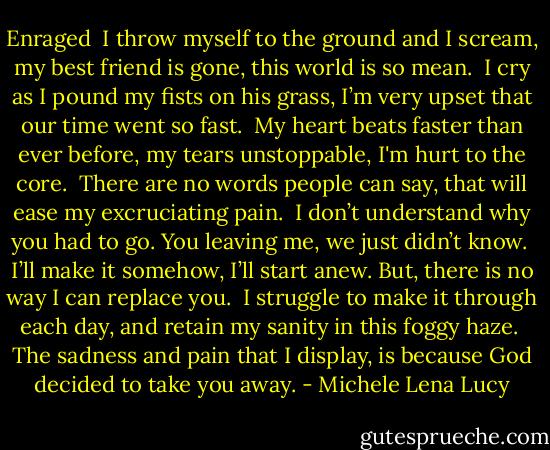 Enraged<br /><br />I throw myself to the ground and I scream,<br />my best friend is gone, this world is so mean.<br /><br />I cry as I pound my fists on his grass,<br />I’m very upset that our time went so fast.<br /><br />My heart beats faster than ever before,<br />my tears unstoppable, I'm hurt to the core.<br /><br />There are no words people can say,<br />that will ease my excruciating pain.<br /><br />I don’t understand why you had to go.<br />You leaving me, we just didn’t know.<br /><br />I’ll make it somehow, I’ll start anew.<br />But, there is no way I can replace you.<br /><br />I struggle to make it through each day,<br />and retain my sanity in this foggy haze.<br /><br />The sadness and pain that I display,<br />is because God decided to take you away. - Michele Lena Lucy