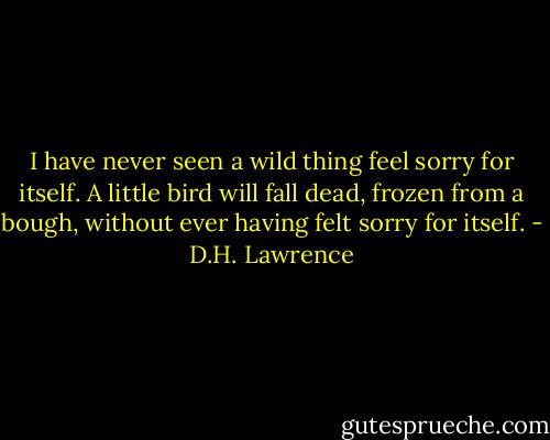 I have never seen a wild thing feel sorry for itself. A little bird will fall dead, frozen from a bough, without ever having felt sorry for itself. - D.H. Lawrence