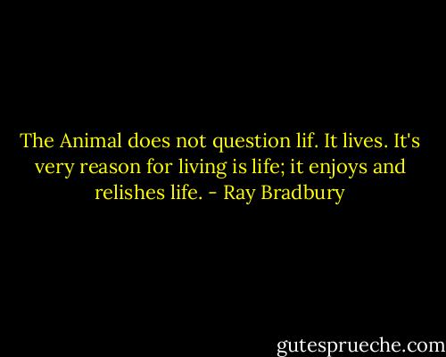 The Animal does not question lif. It lives. It's very reason for living is life; it enjoys and relishes life. - Ray Bradbury