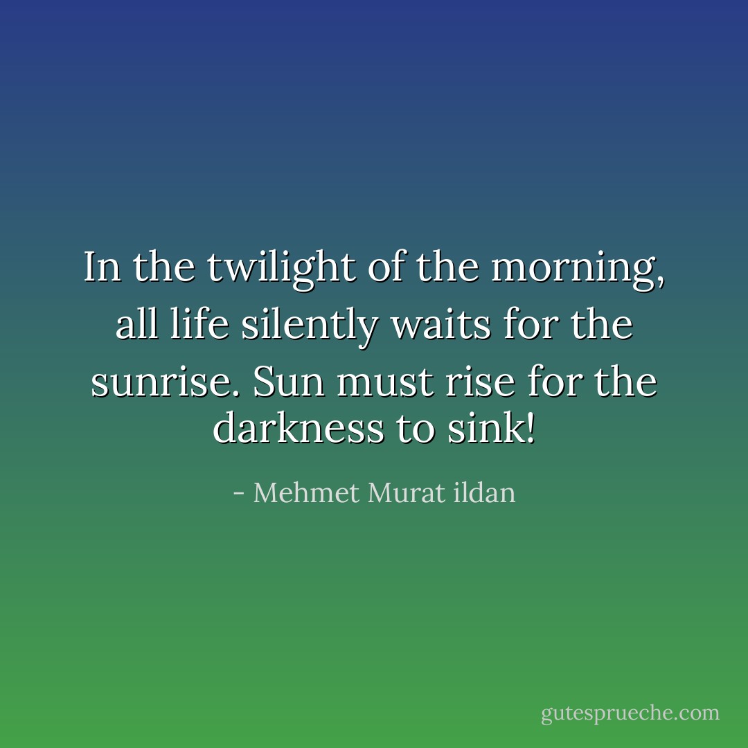 In the twilight of the morning, all life silently waits for the sunrise. Sun must rise for the darkness to sink! - Mehmet Murat ildan