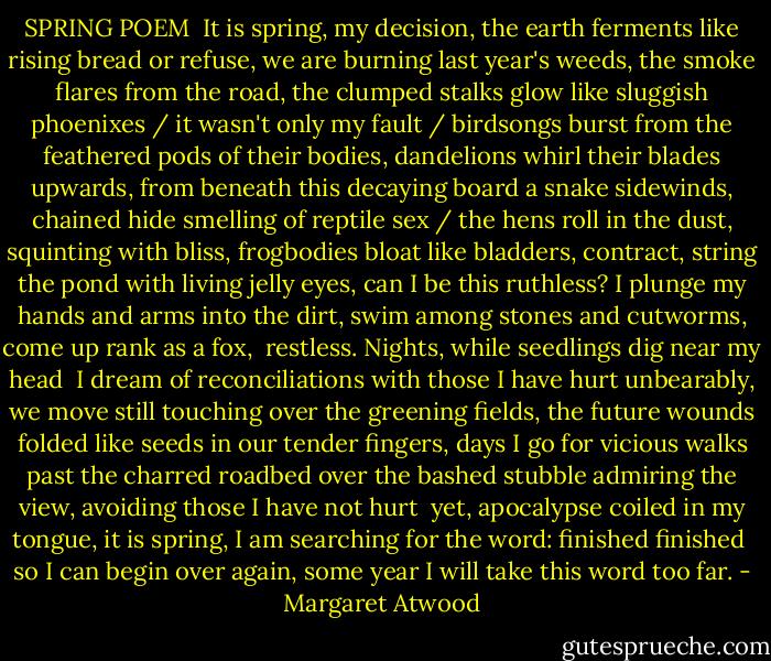 SPRING POEM<br /><br />It is spring, my decision, the earth<br />ferments like rising bread<br />or refuse, we are burning<br />last year's weeds, the smoke<br />flares from the road, the clumped stalks<br />glow like sluggish phoenixes / it wasn't<br />only my fault / birdsongs burst from<br />the feathered pods of their bodies, dandelions<br />whirl their blades upwards, from beneath<br />this decaying board a snake<br />sidewinds, chained hide<br />smelling of reptile sex / the hens<br />roll in the dust, squinting with bliss, frogbodies<br />bloat like bladders, contract, string<br />the pond with living jelly<br />eyes, can I be this<br />ruthless? I plunge<br />my hands and arms into the dirt,<br />swim among stones and cutworms,<br />come up rank as a fox,<br /><br />restless. Nights, while seedlings<br />dig near my head<br /><br />I dream of reconciliations<br />with those I have hurt<br />unbearably, we move still<br />touching over the greening fields, the future<br />wounds folded like seeds<br />in our tender fingers, days<br />I go for vicious walks past the charred<br />roadbed over the bashed stubble<br />admiring the view, avoiding<br />those I have not hurt<br /><br />yet, apocalypse coiled in my tongue,<br />it is spring, I am searching<br />for the word:<br />finished<br />finished<br /><br />so I can begin over<br />again, some year<br />I will take this word too far. - Margaret Atwood