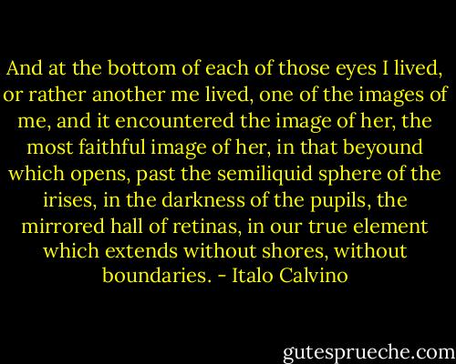 And at the bottom of each of those eyes I lived, or rather another me lived, one of the images of me, and it encountered the image of her, the most faithful image of her, in that beyound which opens, past the semiliquid sphere of the irises, in the darkness of the pupils, the mirrored hall of retinas, in our true element which extends without shores, without boundaries. - Italo Calvino