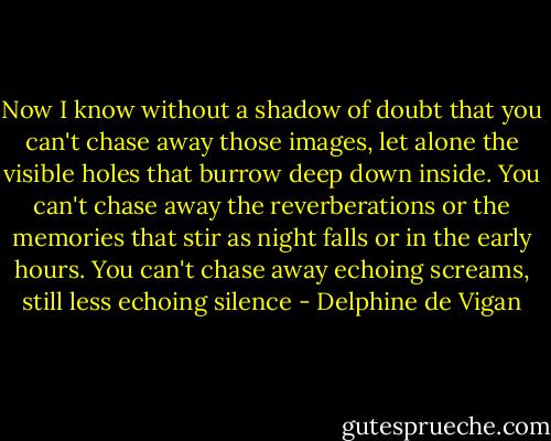 Now I know without a shadow of doubt that you can't chase away those images, let alone the visible holes that burrow deep down inside. You can't chase away the reverberations or the memories that stir as night falls or in the early hours. You can't chase away echoing screams, still less echoing silence - Delphine de Vigan
