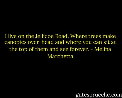 I live on the Jellicoe Road. Where trees make canopies over-head and where you can sit at the top of them and see forever. - Melina Marchetta