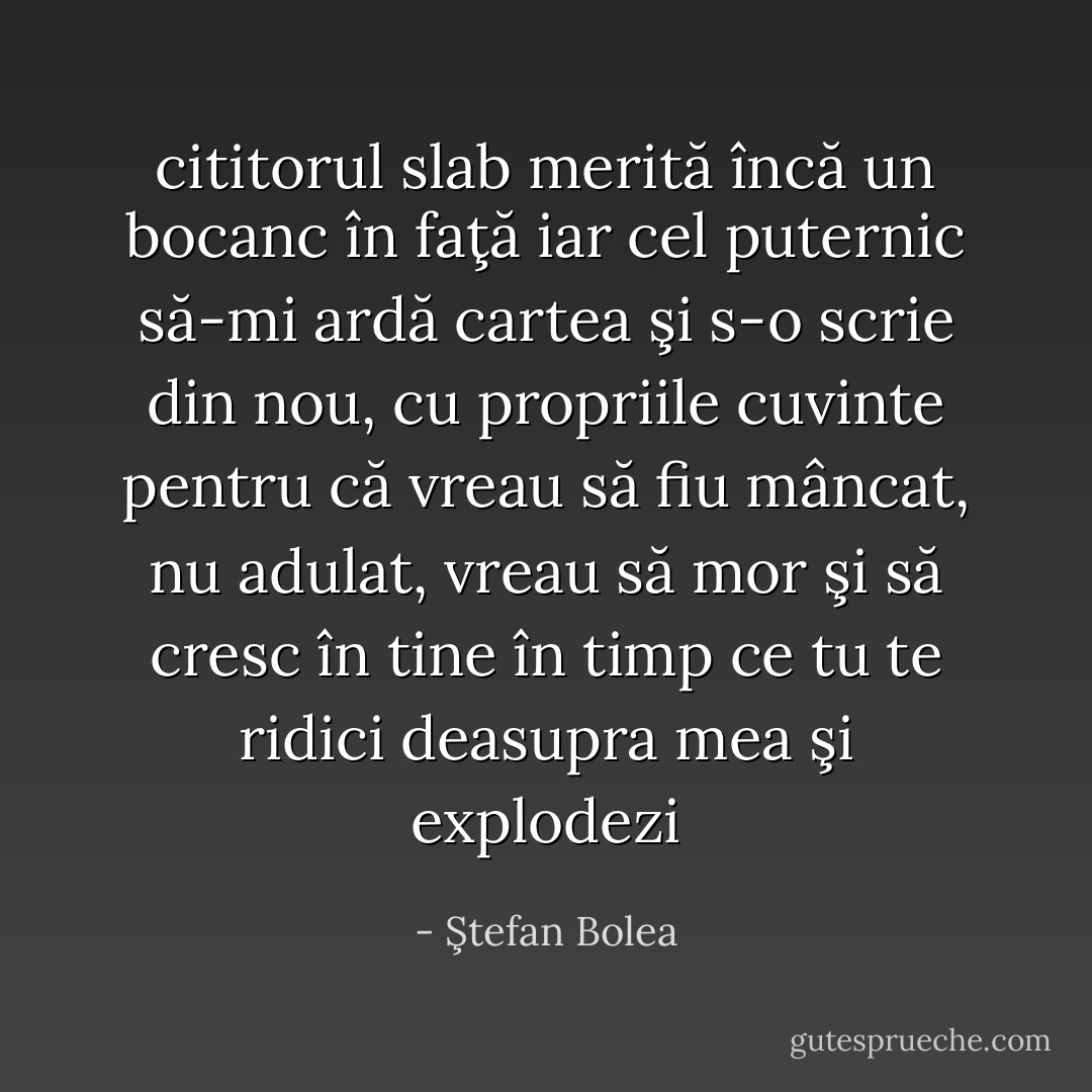 cititorul slab merită încă un bocanc în faţă<br />iar cel puternic să-mi ardă cartea şi s-o scrie din nou, cu propriile cuvinte<br />pentru că vreau să fiu mâncat, nu adulat, vreau să mor şi să cresc în tine în timp ce tu te ridici deasupra mea şi explodezi - Ştefan Bolea