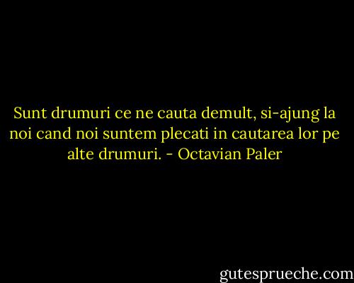 Sunt drumuri ce ne cauta demult, si-ajung la noi cand noi suntem plecati in cautarea lor pe alte drumuri. - Octavian Paler