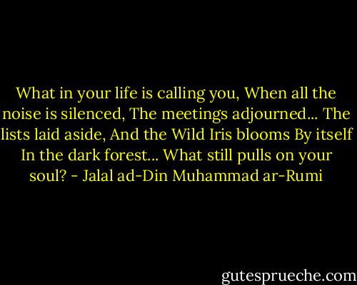 What in your life is calling you,<br />When all the noise is silenced,<br />The meetings adjourned...<br />The lists laid aside,<br />And the Wild Iris blooms<br />By itself<br />In the dark forest...<br />What still pulls on your soul? - Jalal ad-Din Muhammad ar-Rumi