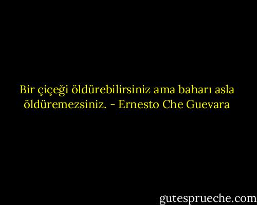 Bir çiçeği öldürebilirsiniz ama baharı asla öldüremezsiniz. - Ernesto Che Guevara