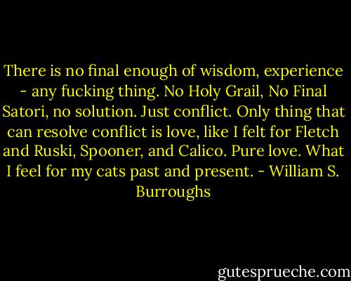 There is no final enough of wisdom, experience - any fucking thing. No Holy Grail, No Final Satori, no solution. Just conflict. Only thing that can resolve conflict is love, like I felt for Fletch and Ruski, Spooner, and Calico. Pure love. What I feel for my cats past and present. - William S. Burroughs