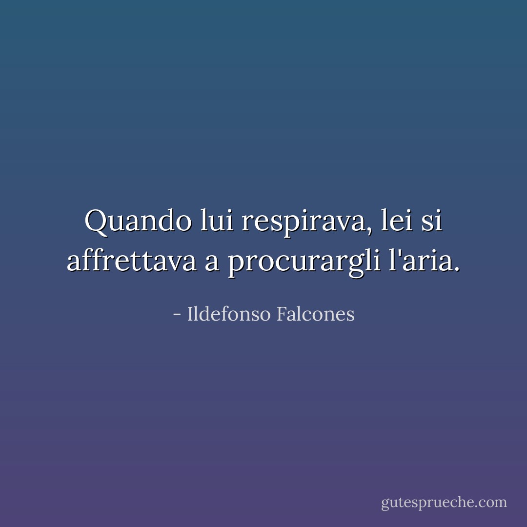 Quando lui respirava, lei si affrettava a procurargli l'aria. - Ildefonso Falcones