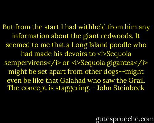 But from the start I had withheld from him any information about the giant redwoods. It seemed to me that a Long Island poodle who had made his devoirs to <i>Sequoia sempervirens</i> or <i>Sequoia gigantea</i> might be set apart from other dogs--might even be like that Galahad who saw the Grail. The concept is staggering. - John Steinbeck