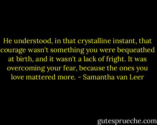 He understood, in that crystalline instant, that courage wasn't something you were bequeathed at birth, and it wasn't a lack of fright. It was overcoming your fear, because the ones you love mattered more. - Samantha van Leer