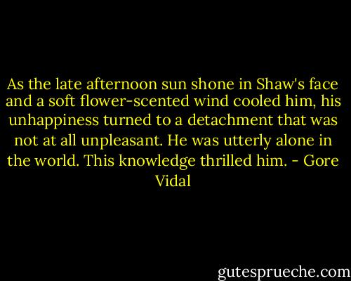 As the late afternoon sun shone in Shaw's face and a soft flower-scented wind cooled him, his unhappiness turned to a detachment that was not at all unpleasant. He was utterly alone in the world. This knowledge thrilled him. - Gore Vidal