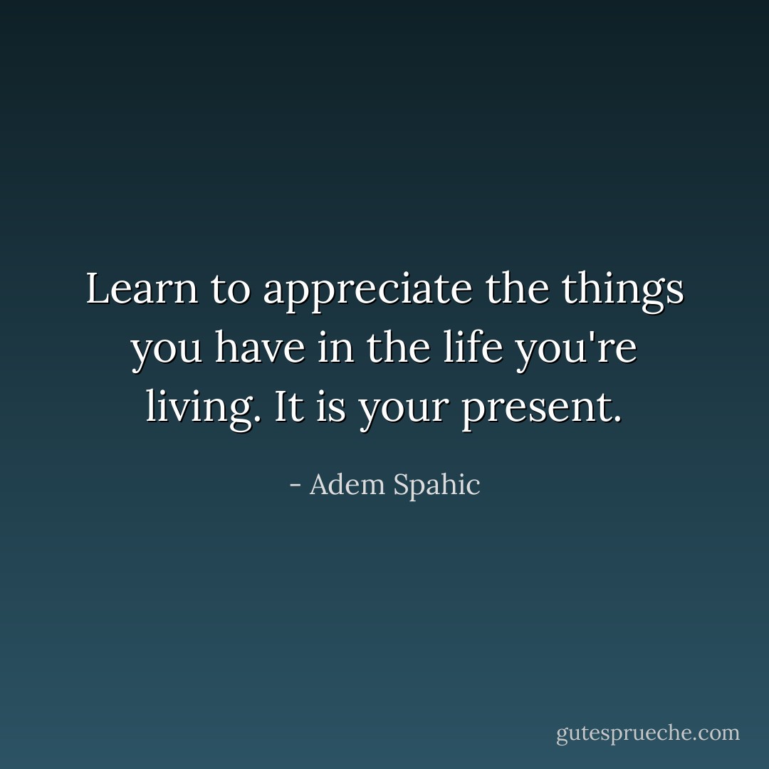 Learn to appreciate the things you have in the life you're living. It is your present. - Adem Spahic