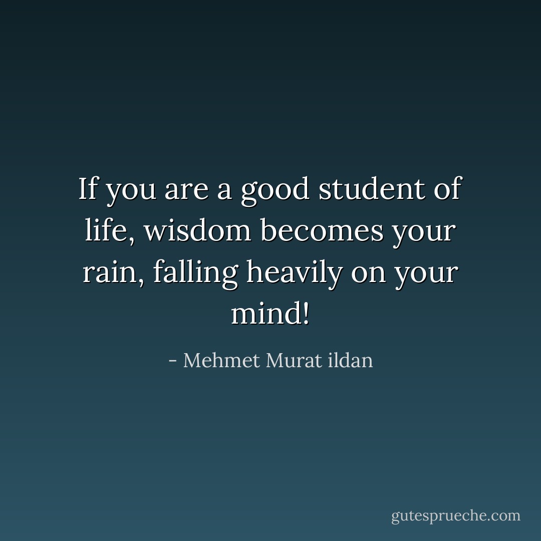 If you are a good student of life, wisdom becomes your rain, falling heavily on your mind! - Mehmet Murat ildan