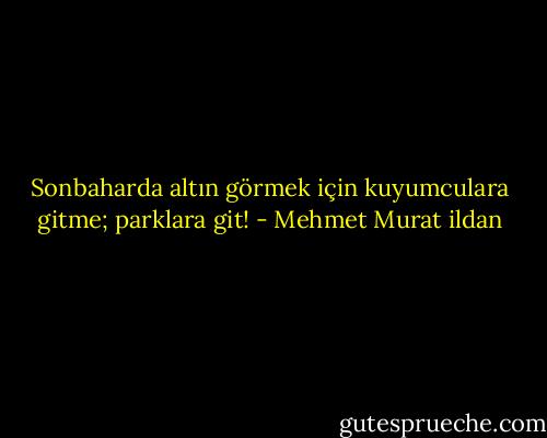Sonbaharda altın görmek için kuyumculara gitme; parklara git! - Mehmet Murat ildan