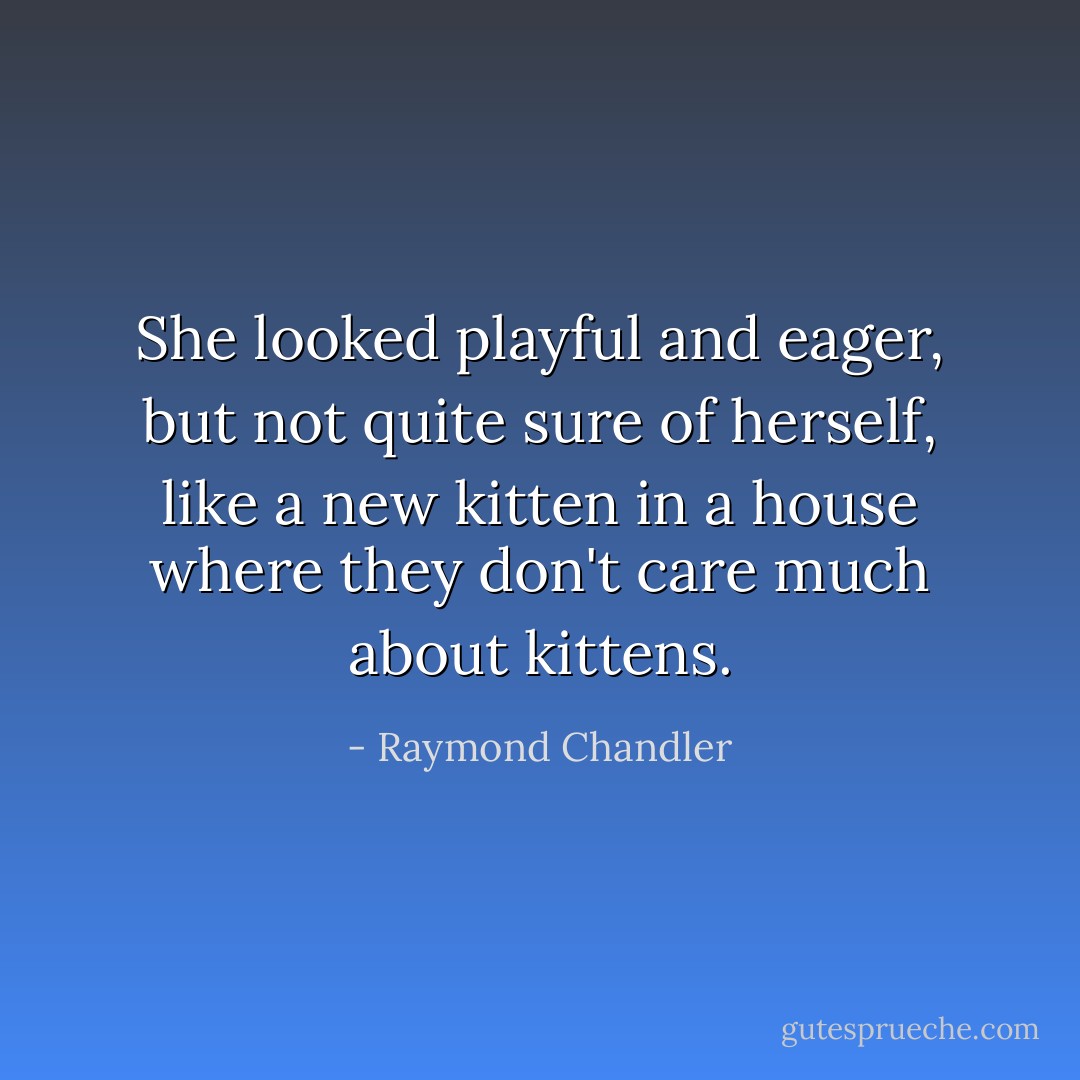 She looked playful and eager, but not quite sure of herself, like a new kitten in a house where they don't care much about kittens. - Raymond Chandler