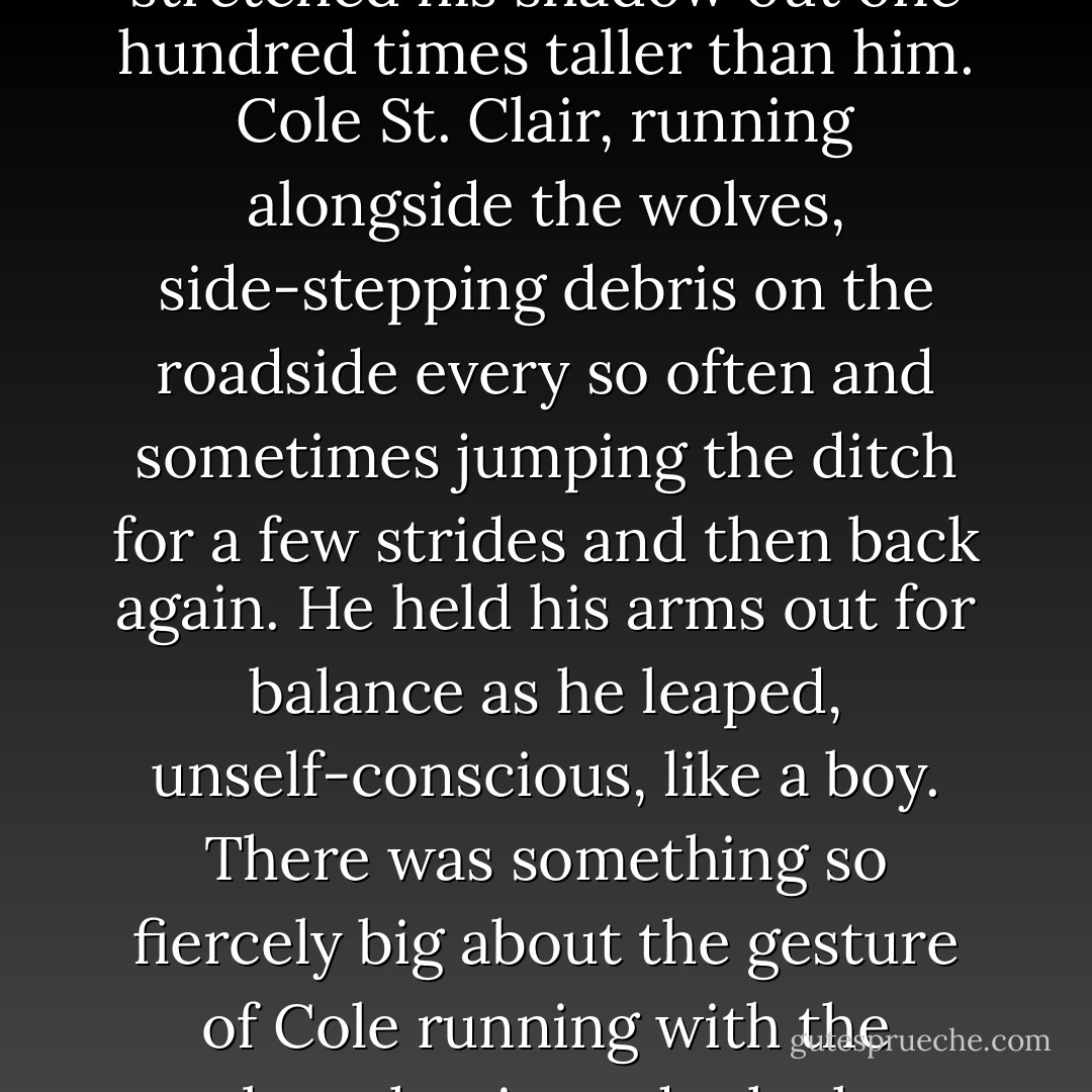 And there, far ahead of me, running by the side of the road, a human. The low sun stretched his shadow out one hundred times taller than him. Cole St. Clair, running alongside the wolves, side-stepping debris on the roadside every so often and sometimes jumping the ditch for a few strides and then back again. He held his arms out for balance as he leaped, unself-conscious, like a boy. There was something so fiercely <i>big</i> about the gesture of Cole running with the wolves that it made the last thing I said to him ring in my ears. - Maggie Stiefvater