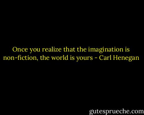 Once you realize that the imagination is non-fiction, the world is yours - Carl Henegan