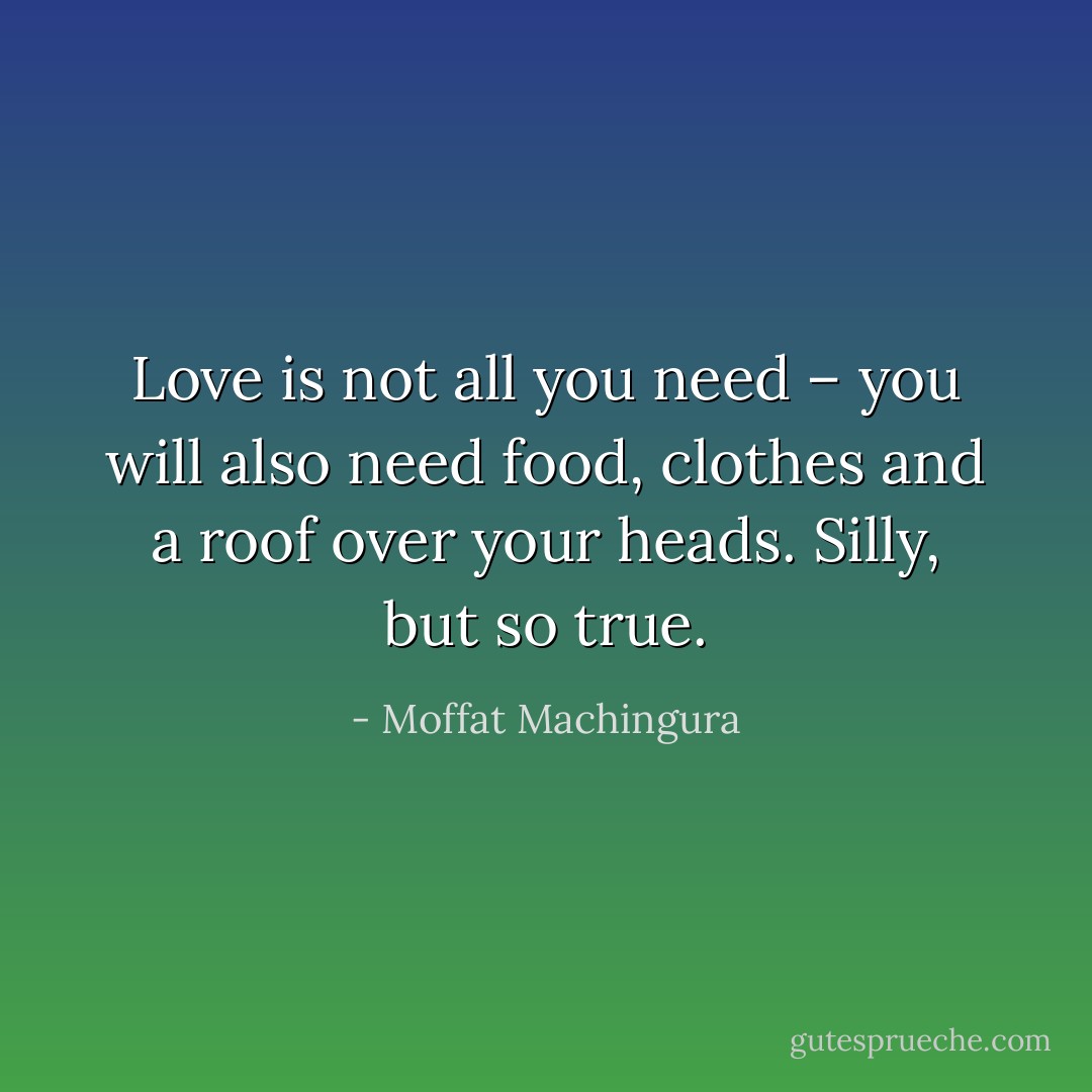 Love is not all you need – you will also need food, clothes and a roof over your heads. Silly, but so true. - Moffat Machingura