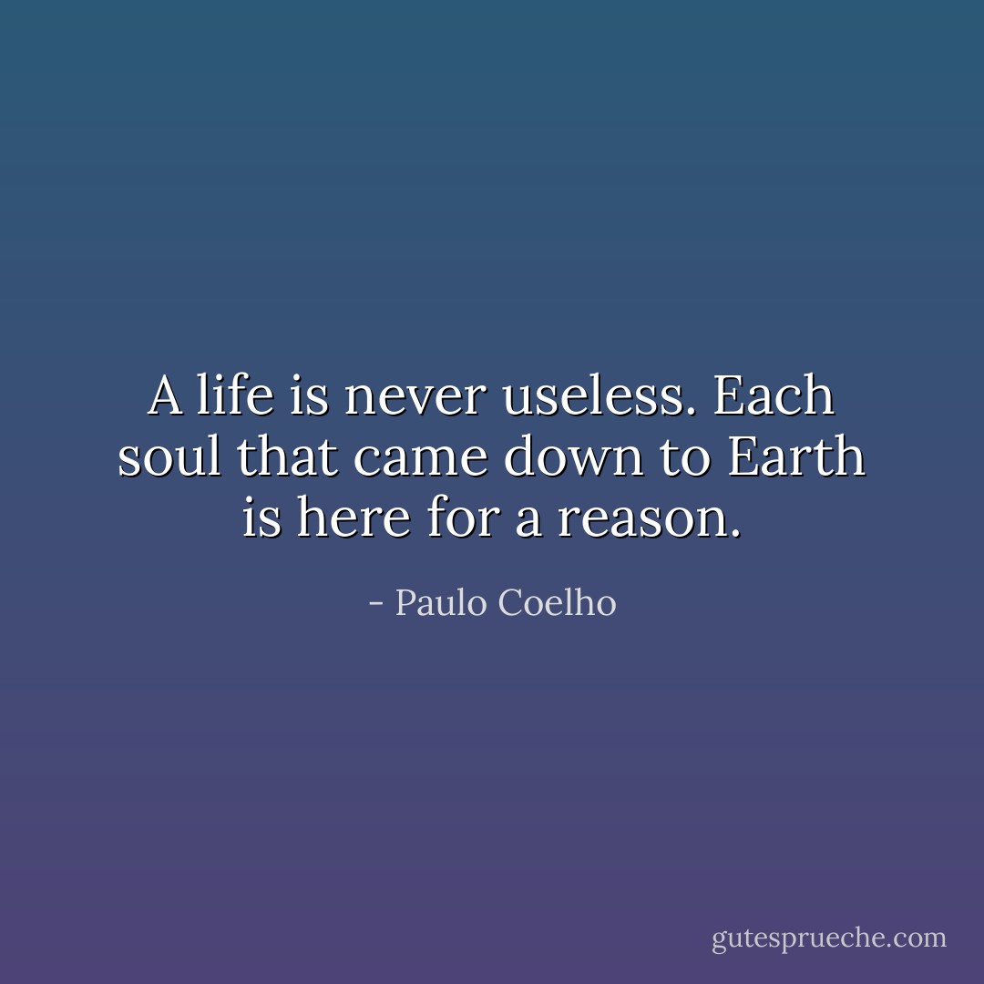 A life is never useless. Each soul that came down to Earth is here for a reason. - Paulo Coelho
