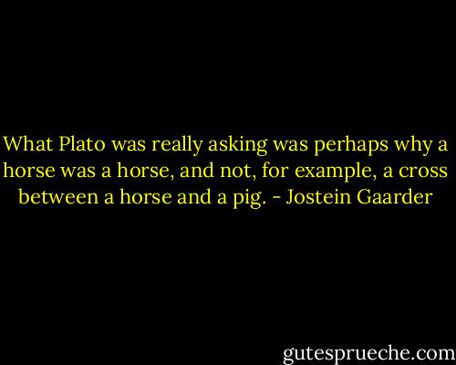 What Plato was really asking was perhaps why a horse was a horse, and not, for example, a cross between a horse and a pig. - Jostein Gaarder