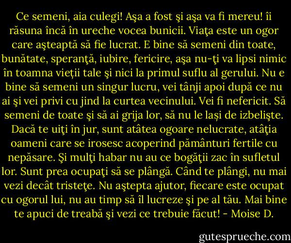 Ce semeni, aia culegi! Aşa a fost şi aşa va fi mereu! îi răsuna încă în ureche vocea bunicii. Viaţa este un ogor care aşteaptă să fie lucrat. E bine să semeni din toate, bunătate, speranţă, iubire, fericire, aşa nu-ţi va lipsi nimic în toamna vieții tale şi nici la primul suflu al gerului. Nu e bine să semeni un singur lucru, vei tânji apoi după ce nu ai şi vei privi cu jind la curtea vecinului. Vei fi nefericit. Să semeni de toate şi să ai grija lor, să nu le lași de izbelişte. Dacă te uiţi în jur, sunt atâtea ogoare nelucrate, atâţia oameni care se irosesc acoperind pământuri fertile cu nepăsare. Şi mulţi habar nu au ce bogăţii zac în sufletul lor. Sunt prea ocupaţi să se plângă. Când te plângi, nu mai vezi decât tristeţe. Nu aştepta ajutor, fiecare este ocupat cu ogorul lui, nu au timp să îl lucreze şi pe al tău. Mai bine te apuci de treabă şi vezi ce trebuie făcut! - Moise D.