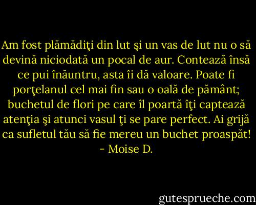 Am fost plămădiţi din lut şi un vas de lut nu o să devină niciodată un pocal de aur. Contează însă ce pui înăuntru, asta îi dă valoare. Poate fi porţelanul cel mai fin sau o oală de pământ; buchetul de flori pe care îl poartă îţi captează atenţia şi atunci vasul ţi se pare perfect. Ai grijă ca sufletul tău să fie mereu un buchet proaspăt! - Moise D.