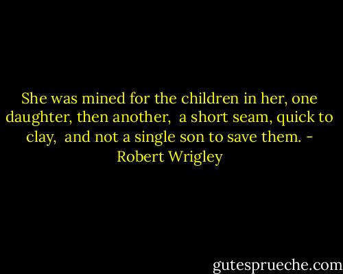 She was mined for the children<br />in her, one daughter, then another, <br />a short seam, quick to clay, <br />and not a single son to save them. - Robert Wrigley