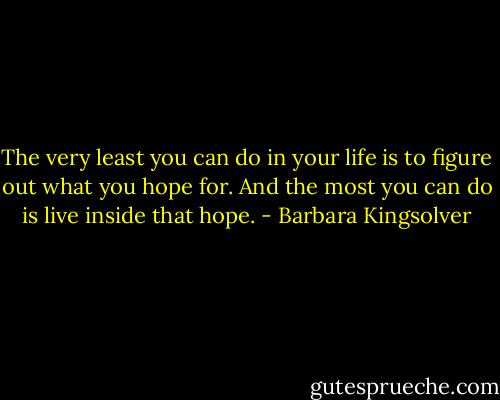 The very least you can do in your life is to figure out what you hope for. And the most you can do is live inside that hope. - Barbara Kingsolver