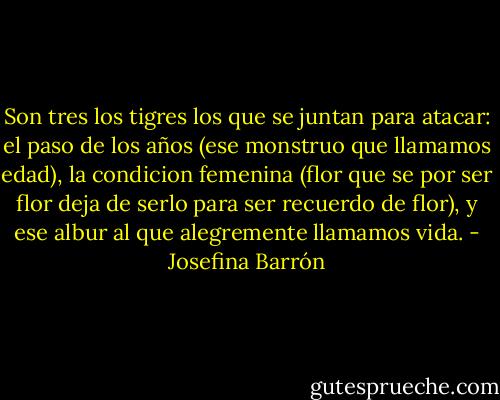 Son tres los tigres los que se juntan para atacar: el paso de los años (ese monstruo que llamamos edad), la condicion femenina (flor que se por ser flor deja de serlo para ser recuerdo de flor), y ese albur al que alegremente llamamos vida. - Josefina Barrón