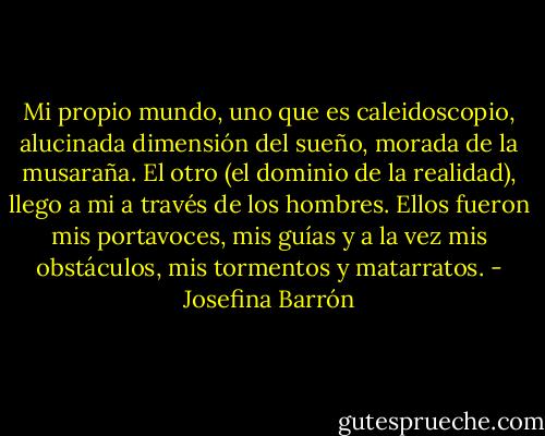 Mi propio mundo, uno que es caleidoscopio, alucinada dimensión del sueño, morada de la musaraña. El otro (el dominio de la realidad), llego a mi a través de los hombres. Ellos fueron mis portavoces, mis guías y a la vez mis obstáculos, mis tormentos y matarratos. - Josefina Barrón