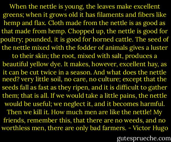 When the nettle is young, the leaves make excellent greens; when it grows old it has filaments and fibers like hemp and flax. Cloth made from the nettle is as good as that made from hemp. Chopped up, the nettle is good for poultry; pounded, it is good for horned cattle. The seed of the nettle mixed with the fodder of animals gives a luster to their skin; the root, mixed with salt, produces a beautiful yellow dye. It makes, however, excellent hay, as it can be cut twice in a season. And what does the nettle need? very little soil, no care, no culture; except that the seeds fall as fast as they ripen, and it is difficult to gather them; that is all. If we would take a little pains, the nettle would be useful; we neglect it, and it becomes harmful. Then we kill it. How much men are like the nettle! My friends, remember this, that there are no weeds, and no worthless men, there are only bad farmers. - Victor Hugo