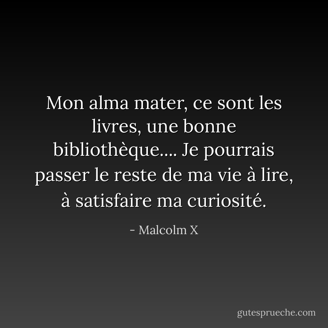 Mon alma mater, ce sont les livres, une bonne bibliothèque.... Je pourrais passer le reste de ma vie à lire, à satisfaire ma curiosité. - Malcolm X