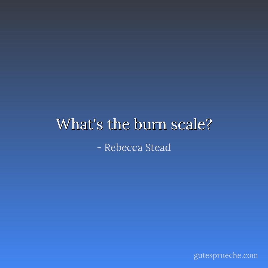 What's the burn scale? - Rebecca Stead