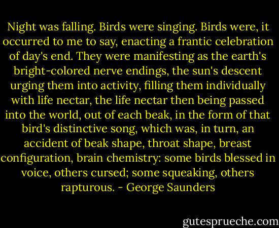 Night was falling. Birds were singing. Birds were, it occurred to me to say, enacting a frantic celebration of day's end. They were manifesting as the earth's bright-colored nerve endings, the sun's descent urging them into activity, filling them individually with life nectar, the life nectar then being passed into the world, out of each beak, in the form of that bird's distinctive song, which was, in turn, an accident of beak shape, throat shape, breast configuration, brain chemistry: some birds blessed in voice, others cursed; some squeaking, others rapturous. - George Saunders