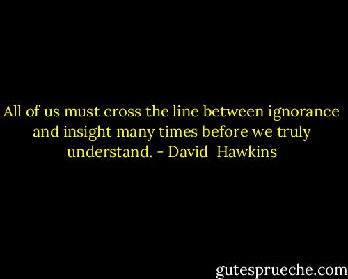 All of us must cross the line between ignorance and insight many times before we truly understand. - David  Hawkins