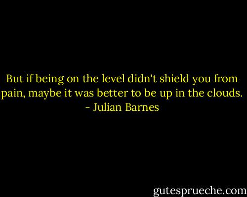 But if being on the level didn't shield you from pain, maybe it was better to be up in the clouds. - Julian Barnes