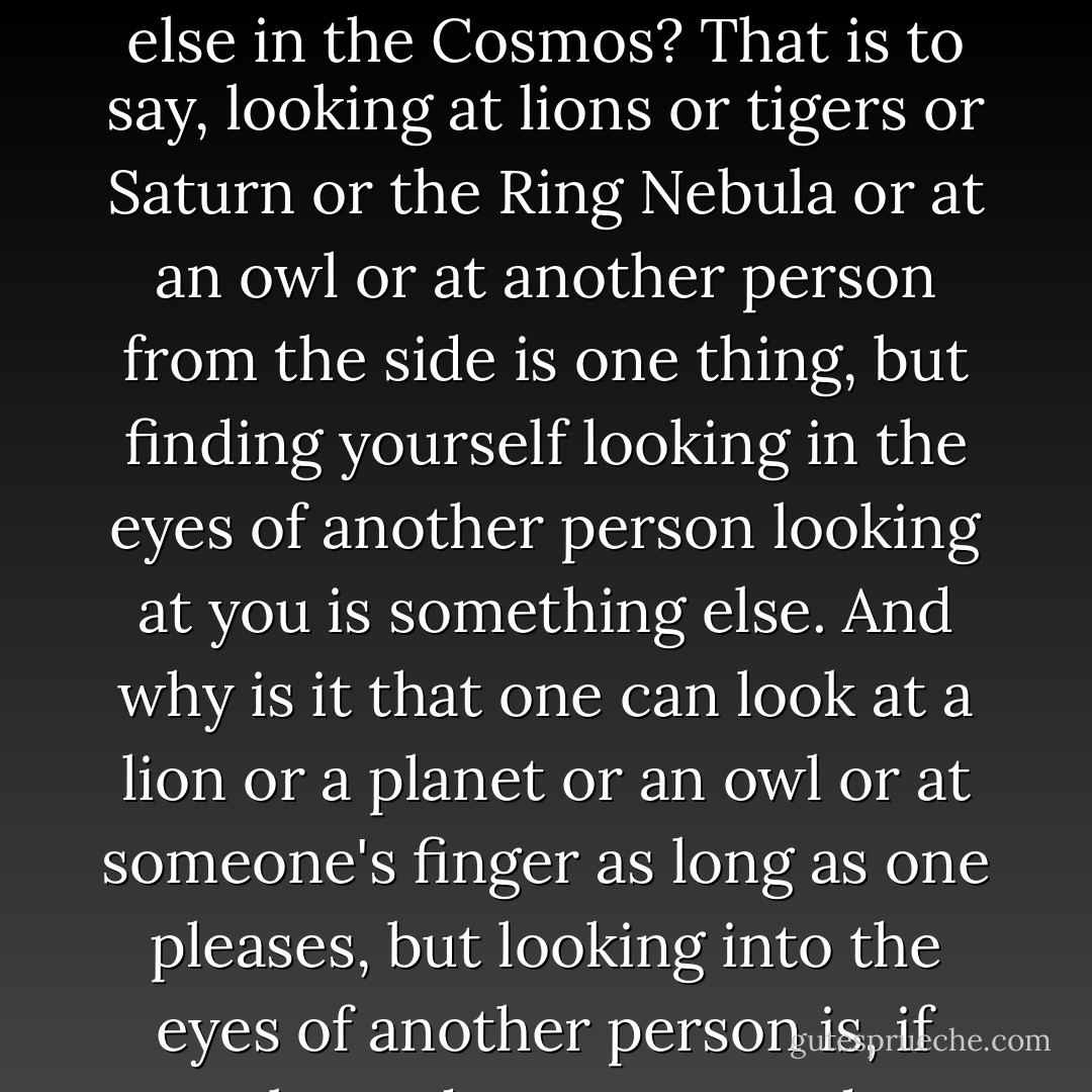 Why is it that the look of another person looking at you is different from everything else in the Cosmos? That is to say, looking at lions or tigers or Saturn or the Ring Nebula or at an owl or at another person from the side is one thing, but finding yourself looking in the eyes of another person looking at you is something else. And why is it that one can look at a lion or a planet or an owl or at someone's finger as long as one pleases, but looking into the eyes of another person is, if prolonged past a second, a perilous affair? - Walker Percy