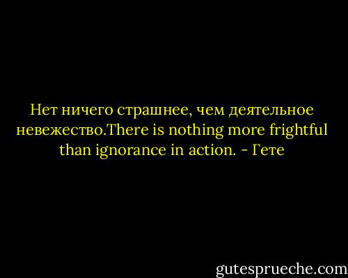 Нет ничего страшнее, чем деятельное невежество.There is nothing more frightful than ignorance in action. - Гете