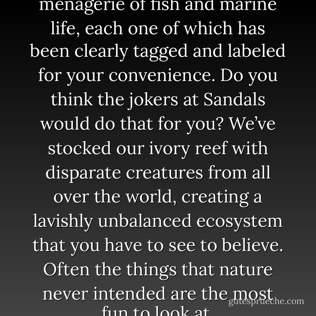 Snorkel through our vibrant menagerie of fish and marine life, each one of which has been clearly tagged and labeled for your convenience. Do you think the jokers at Sandals would do that for you? We’ve stocked our ivory reef with disparate creatures from all over the world, creating a lavishly unbalanced ecosystem that you have to see to believe. Often the things that nature never intended are the most fun to look at. - Colin Nissan