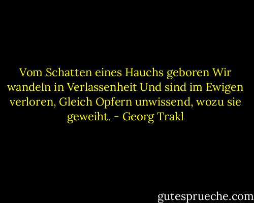 Vom Schatten eines Hauchs geboren<br />Wir wandeln in Verlassenheit<br />Und sind im Ewigen verloren,<br />Gleich Opfern unwissend, wozu sie geweiht. - Georg Trakl